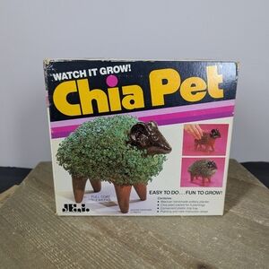 Vintage Chia Pet Bull – NEW in Box – 1980s/90s Ceramic Chia Planter – Retro Gift